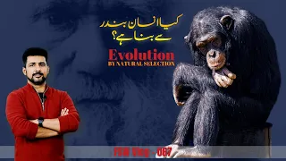 FSW Vlog | Evolution 02 | How did Charles Darwin discover the Theory of Evolution? | Faisal Warraich