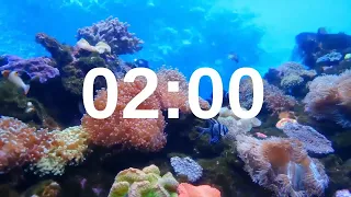 2 Minute Timer Relaxing Music Lofi Fish Background