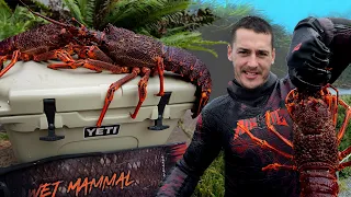 Spearfishing Tasmania Giant Lobster Diving and Catch and Cook Southern Rock Lobster Roll