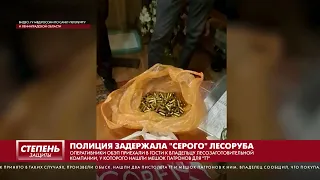 ПОЛИЦИЯ ЗАДЕРЖАЛА "СЕРОГО" ЛЕСОРУБА