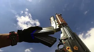 COD MW - FAL (Beefeater) Inspect and Reload Animations