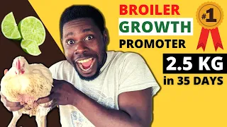 How to Prepare Broiler Growth Promoter (FULL VIDEO)