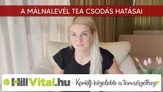 A málnalevél tea csodás hatásai - HillVital