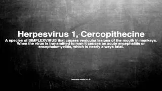 Medical vocabulary: What does Herpesvirus 1, Cercopithecine mean