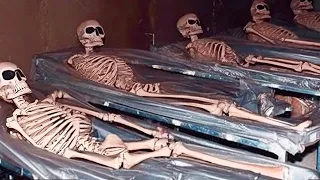 20 Mummy Discoveries That Scared Archaeologists