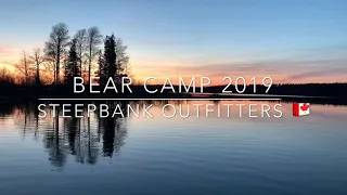 Bear Camp 2019  Saskatchewan Giant Black Bear