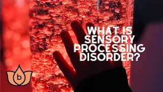 What is Sensory Processing Disorder? (SPD) -Understanding ASD and Sensory Processing Differences