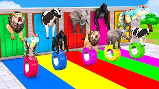 Animals Choose The Right Door with Elephant Cow Lion Gorilla Tiger T Rex Animals Tire Challenge