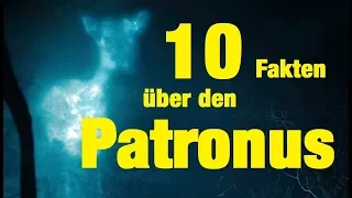 10 FAKTEN über den PATRONUS