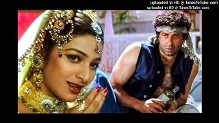 Dil Ka Kya Kare Saheb _ Jeet _ Sunny Deol, Tabu _ Kavita Krishnamurthy _ 90's Hits (128 kbps) (128 k