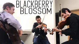 Blackberry Blossom - Leftwich, Workman, Barnett