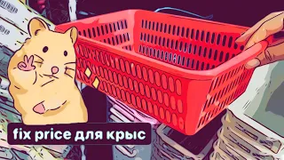 Покупки из Fix Price для крыс 🐀