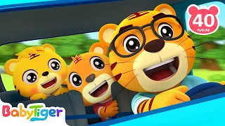 Animals On The Bus🚌🐅Are We There Yet? + More Animal Songs & Nursery Rhymes | Baby Songs - BabyTiger
