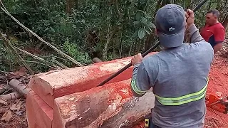 Vale apena perder um tempo 🤔🤔.com certeza galera bora preservar a afiação.