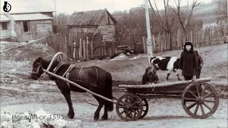 Промыслы Трубчевского уезда 1913 г  Кустари и ремесленники Орловской губернии 19 20 вв  Свод данных