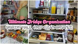 🌱SPRING 2024 ULTIMATE FRIDGE ORGANIZATION - CLEAN AND ORGANIZE WITH ME