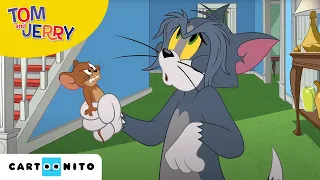 Tom i Jerry Show | Zimowe przygody | Cartoonito