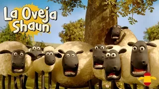 Salvad Al Arbol - La Oveja Shaun