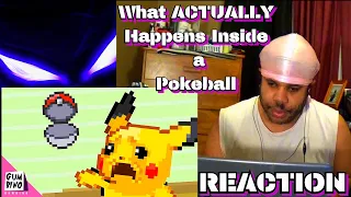 What ACTUALLY Happens Inside a Pokeball Reaction