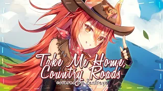 Take Me Home, Country Roads - Zentreya Cover