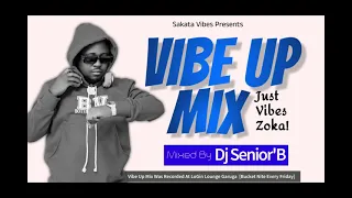 Vibe Up Mix - Dj Senior'B