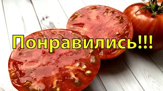 8 вкусных НЕОБЫЧНОЙ РАСЦВЕТКИ томатов, удивили и ПОРАДОВАЛИ ВКУСОМ