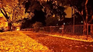 Autumn night