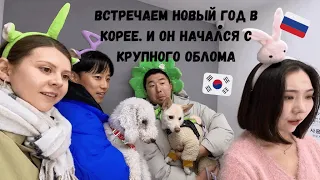 Как мы отметили Новый год в Корее большим обломом)) Катя и Кюдэ/Южная Корея