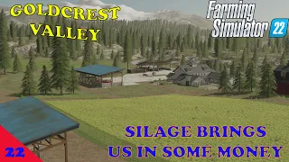 Goldcrest Valley Ep 22     Making money with the silage and weed spraying     Farm Sim 22