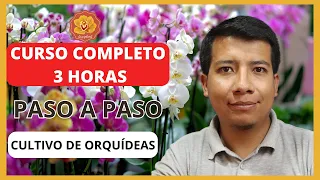 Curso Gratis de Cultivo de Orquídeas | Cómo Cultivar Orquídeas Fácil Siendo Principiante 2023