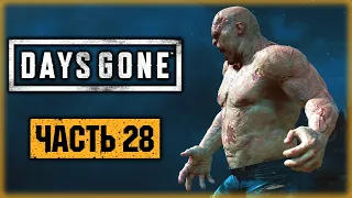 DAYS GONE #28 ☣️ - ТРИ ГРОМИЛЫ ПОД ОКНОМ РВАЛИ ФРИКОВ ВЕЧЕРКОМ! - Жизнь После (2021)