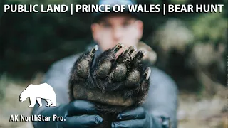 Spring Boar | Prince Of Wales, Alaska | Bear Hunt
