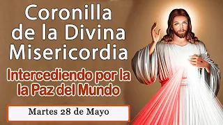 Coronilla a la Divina Misericordia para hoy Martes 28 de Mayo de 2024