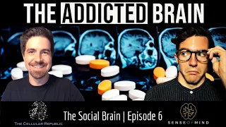 The Social Brain Ep.6: The Addicted Brain