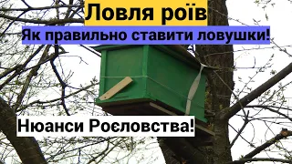 Ловля Роїв, Як і де правильно поставити ловушку, нюанси роєловства!