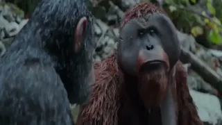 War for the planet of Apes in English Full HD