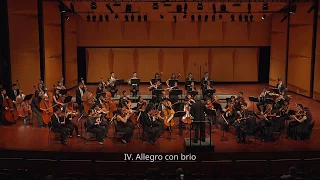 Ludwig van Beethoven - Symphony No. 7 in A Major, Op. 92 (IV: Allegro con Brio)