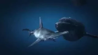 GTA 5 Next Gen - The Shark and the Humpback Whale (GTAV - Playing as a marine animal #2)