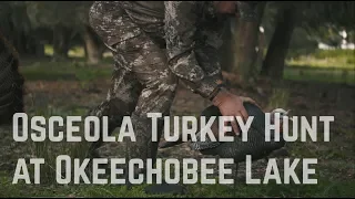 Osceola Turkey Hunt with Rob Keck and TrueTimber | Winter Turkey Hunting