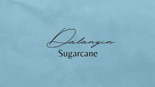 Dalangin (lyrics) - Sugarcane