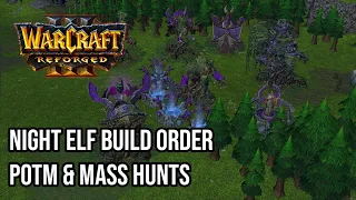 Warcraft 3 Build Orders: Night Elf PotM &  Mass Hunts