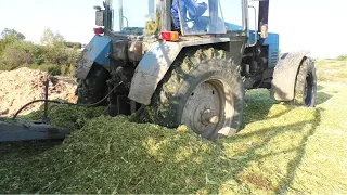 Пользуемся хорошей погодой, заготавливаем силос