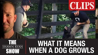 Navy SEAL Dog Trainer Mike Ritland Explains What a Dog's Growl Means