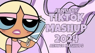 tiktok mashup 2024 january 25