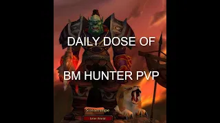 Daily Dose Of TBC BM Hunter PvP - 1