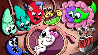 [Animation] 🧠GARTEN OF BANBAN 4, But Baby BanBaleena Organs... | BanBaleena Pregnant Story Cartoon!