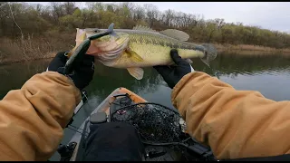 Catching 4 bass on DRT swimbait in cold water