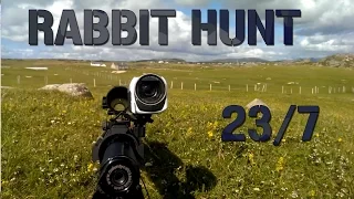 Rabbit Hunting 23/7 Ruger 10/22 .22lr