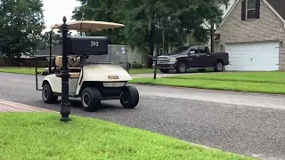 Monkey driving a golf cart