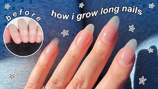 HOW I GROW LONG NATURAL NAILS | The Beauty Vault